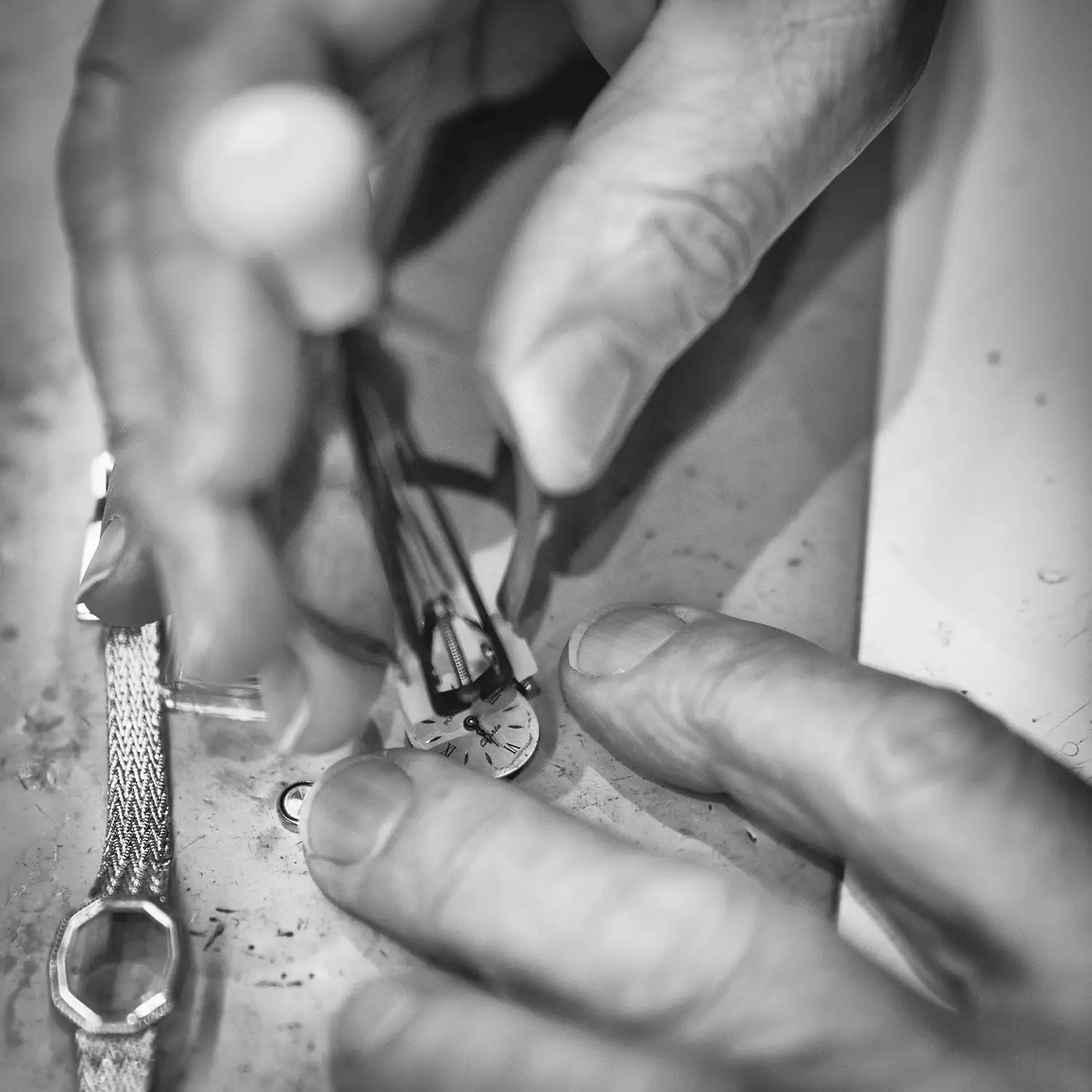 Atelier (3)